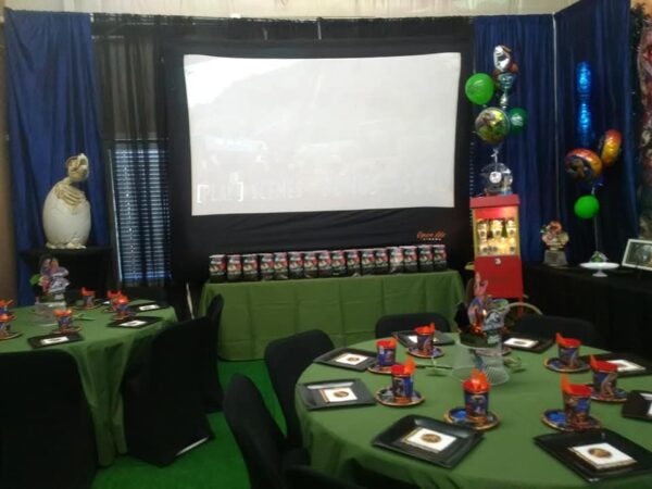 9-ft Movie Screen & Projector