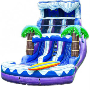 Double Slide Purple & Blue Tropical Water Slide